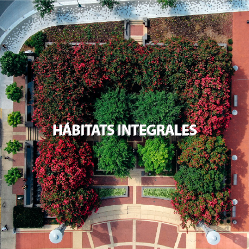 M5_Hábitats integrales